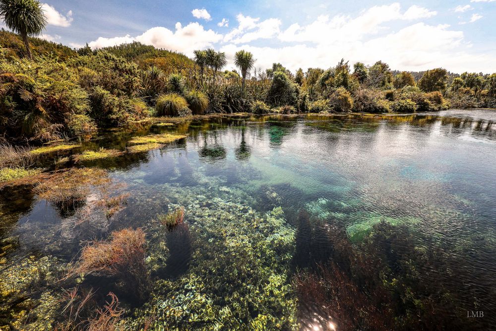 Das Klarste Wasser Der Welt Foto Bild Australia Oceania New Zealand Landschaft Bilder Auf Fotocommunity