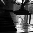 das klavier