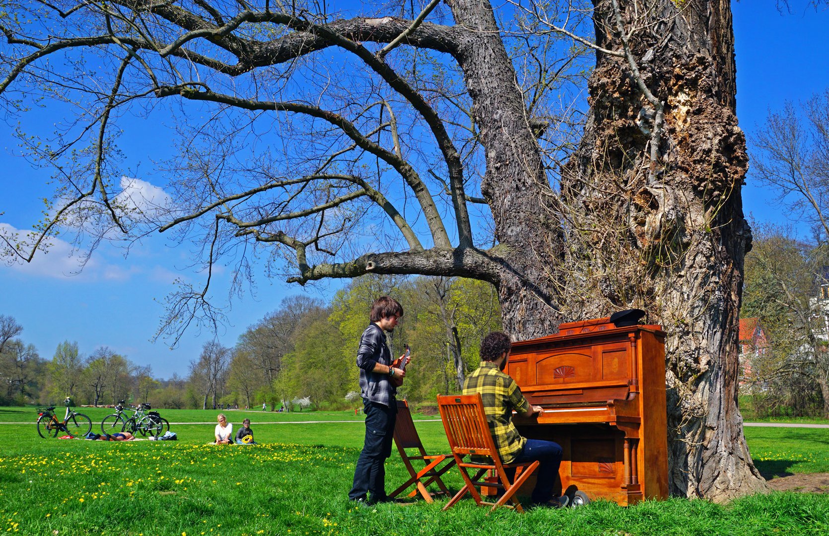 Das Klavier im Park