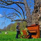Das Klavier im Park