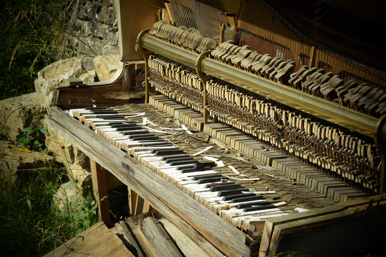 Das Klavier im Weinberg