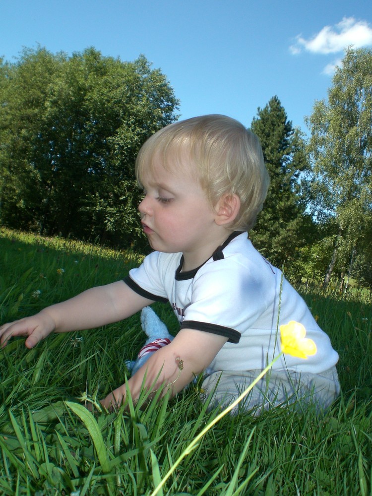 Das kleine blümchen!