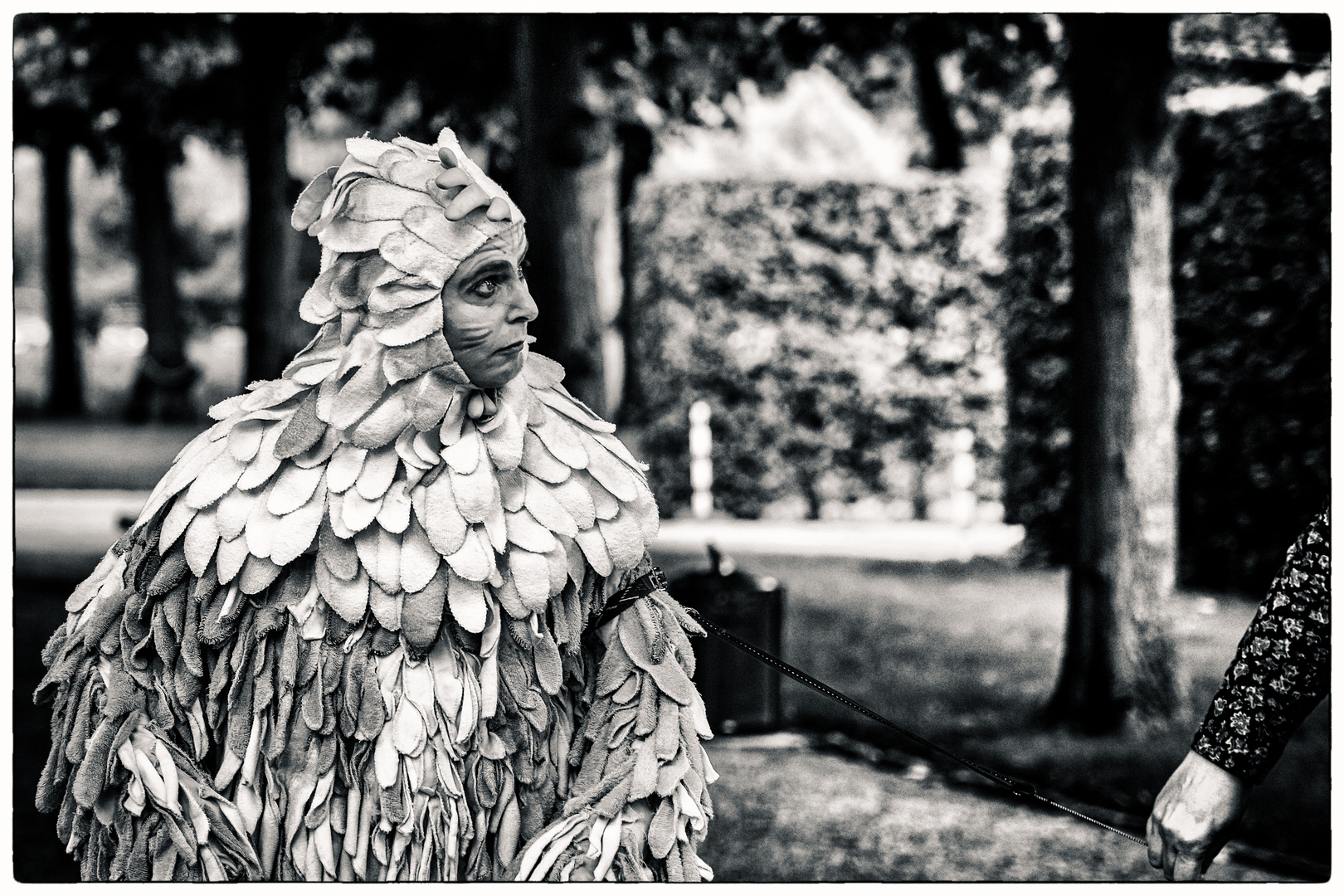 Das kleine Fest im großen Garten 2017 Foto & Bild kunstfotografie