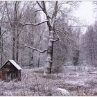 Das kleine Haus