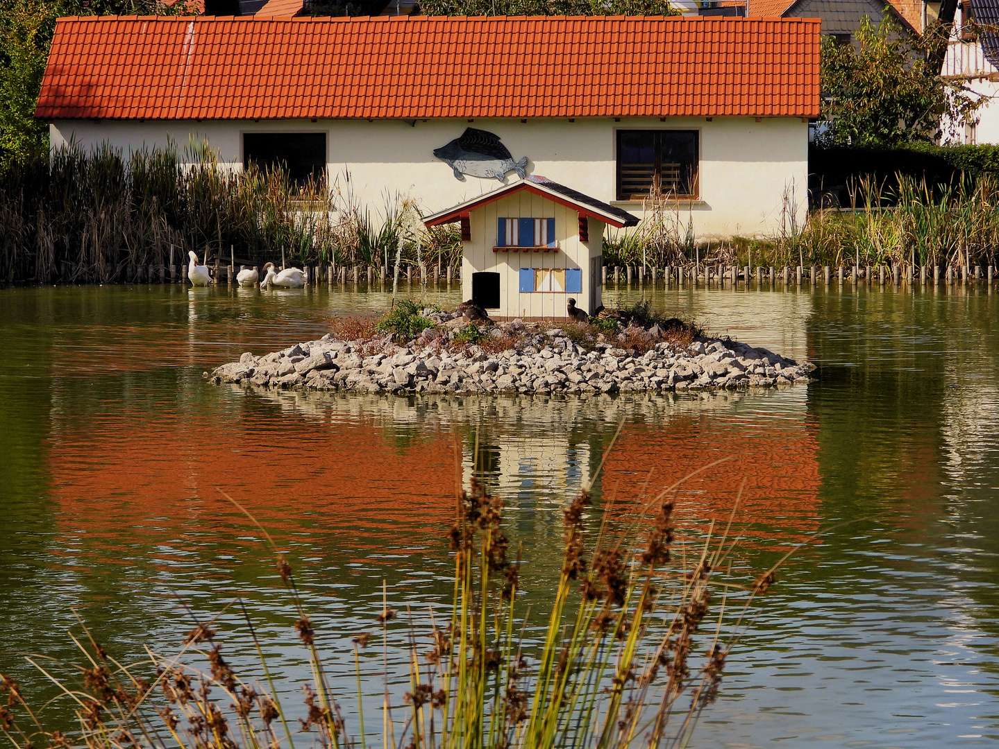 Das kleine Haus der Wasservögel