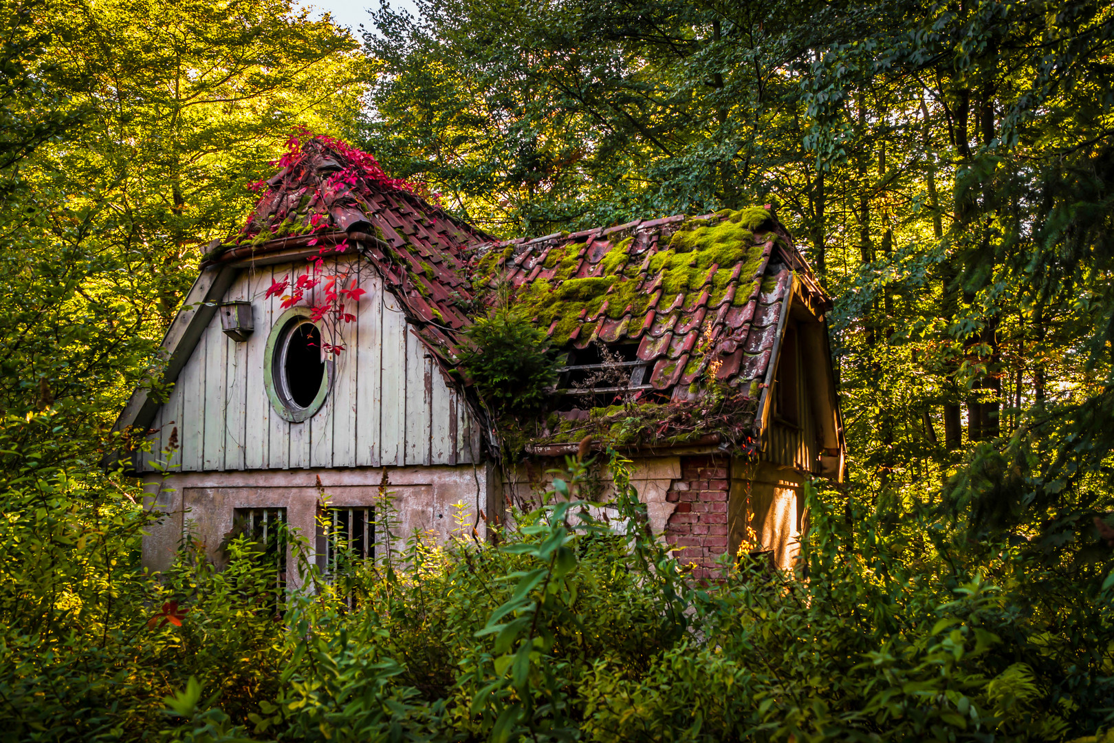 das kleine Haus im Harz