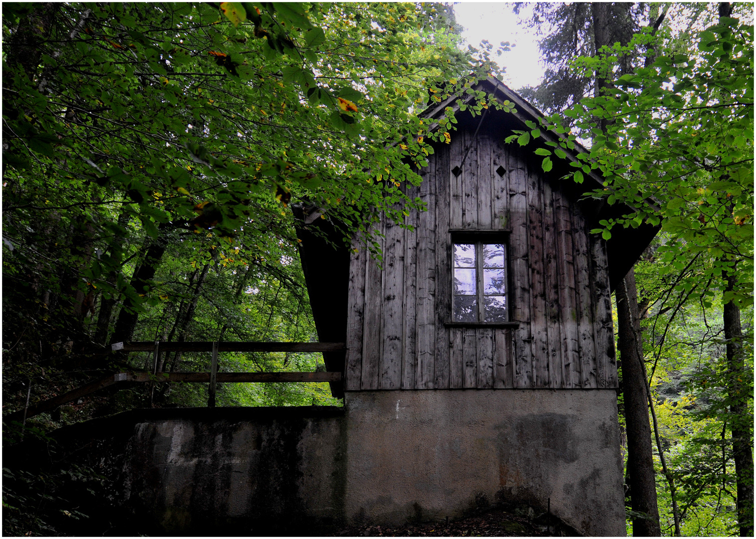 Das kleine Haus im Wald