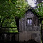 Das kleine Haus im Wald