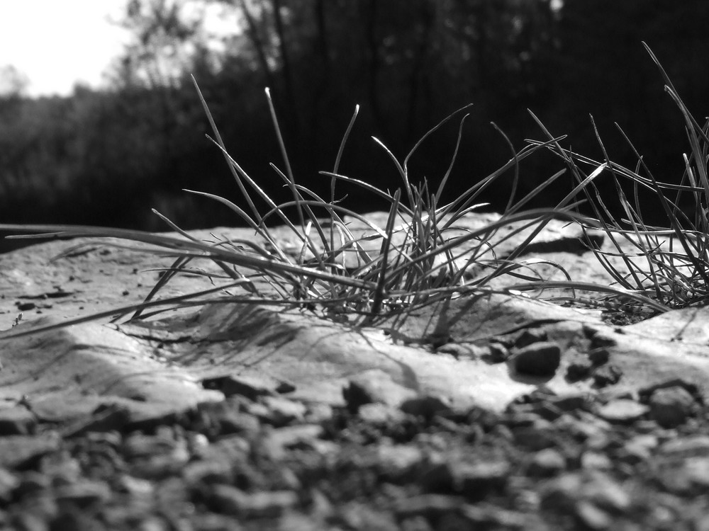 das Kleine im Großen sehen