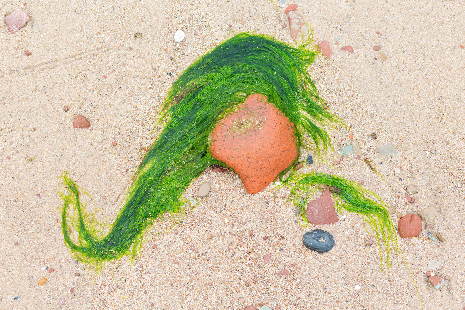 Das kleine Mädchen mit den grünen Haaren