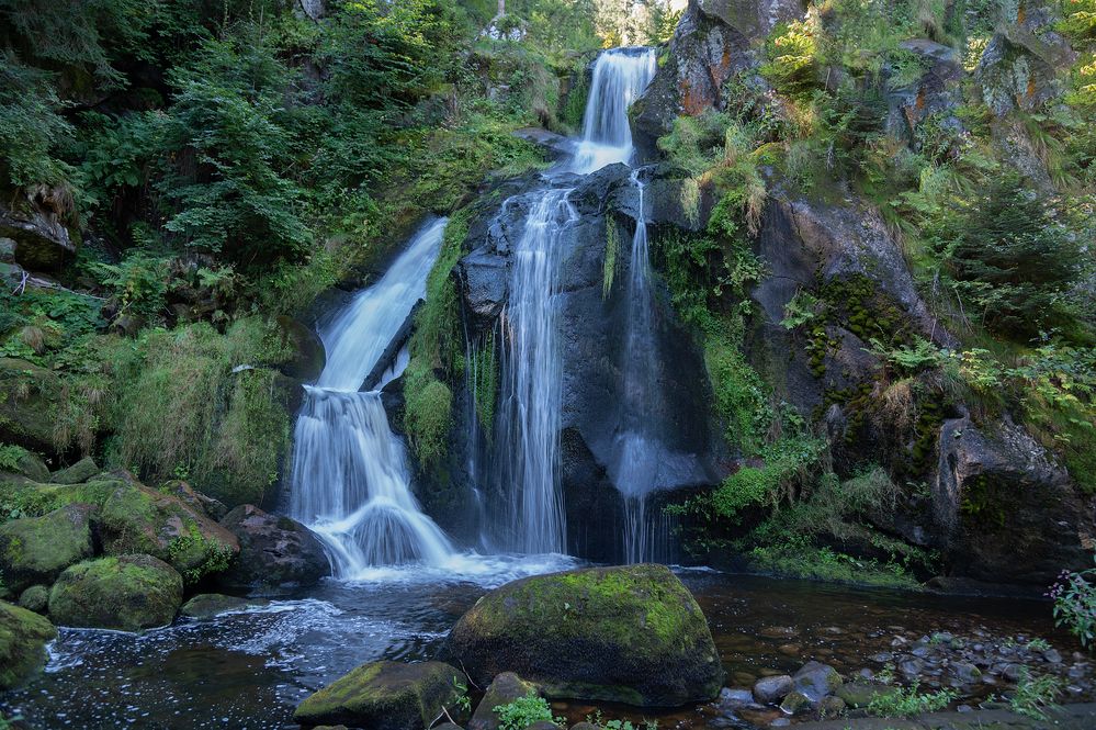 Das kleine Paradies Foto & Bild deutschland, europe, baden
