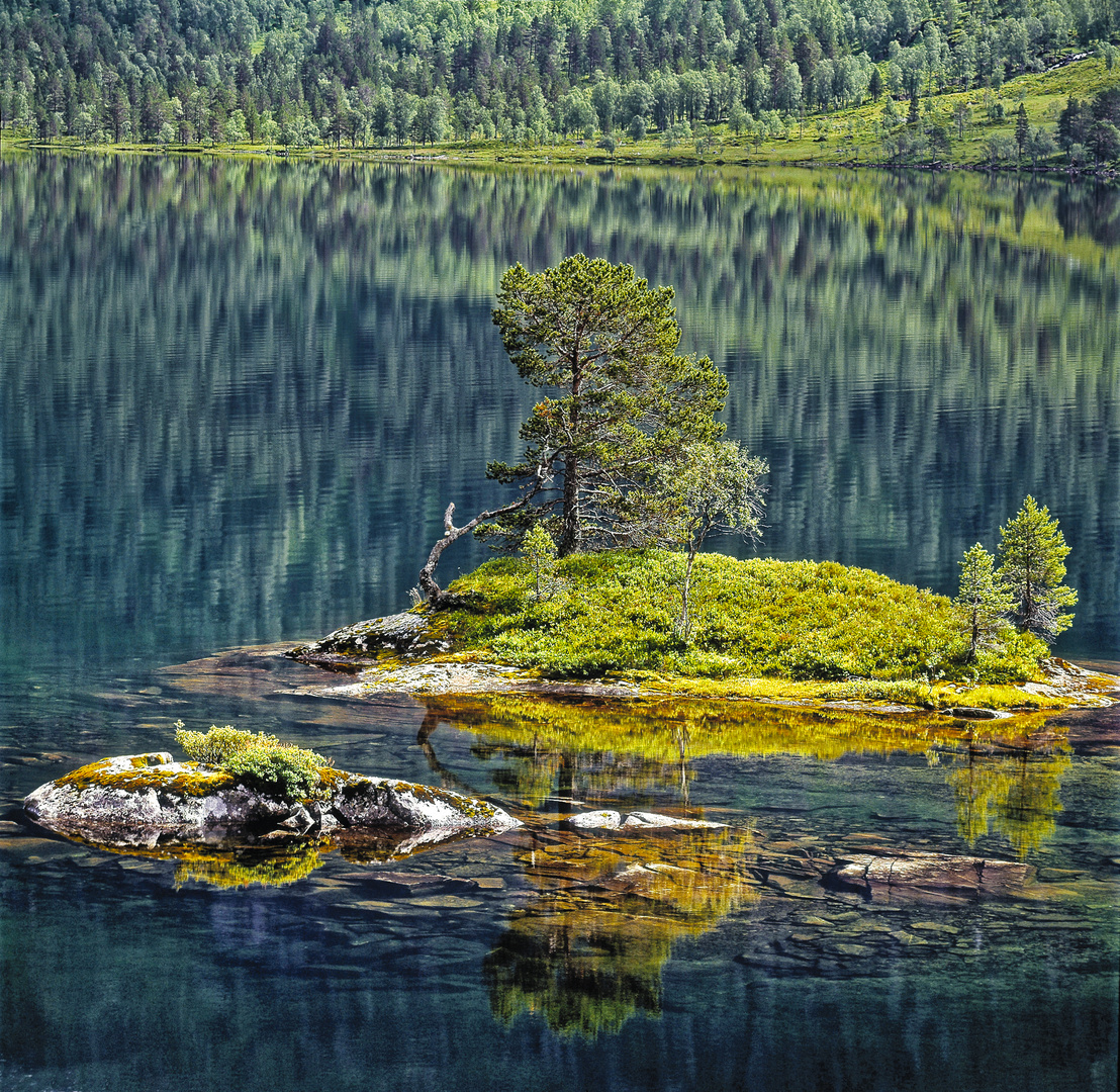 DAS KLEINE PARADIES