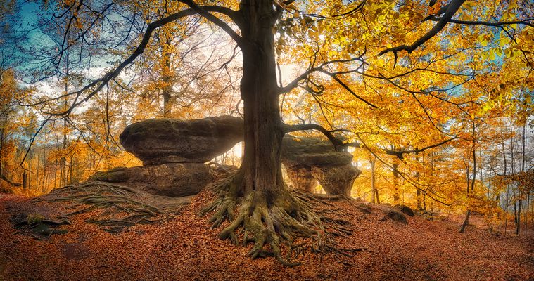 Das kleine Prebischtor im Gegenlicht