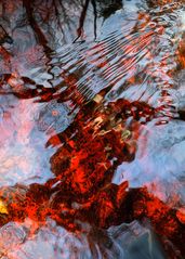 Das kleine Rinnsal im Moor