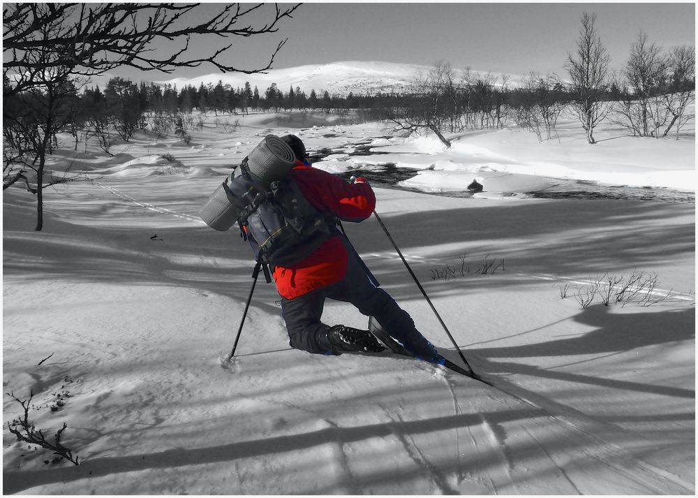  das kleine Rot im Schnee 