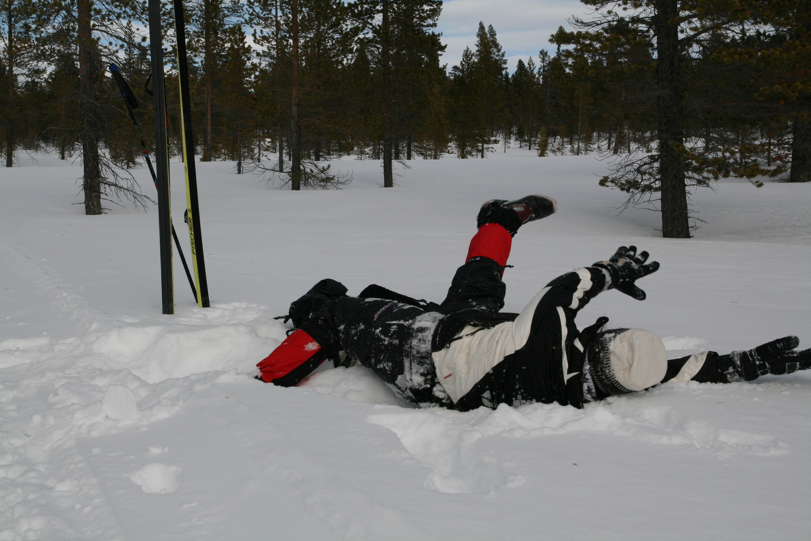  das kleine Rot im Schnee