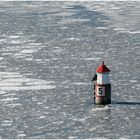  das kleine Rot im Schnee