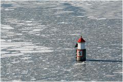  das kleine Rot im Schnee