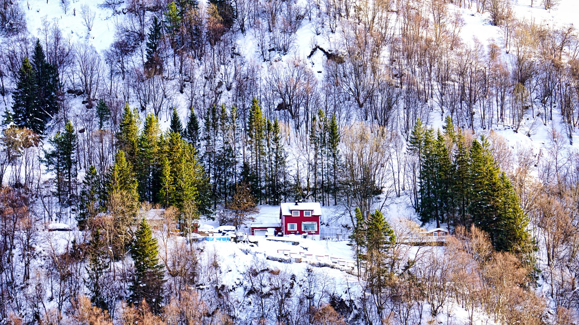 Das kleine rote Holzhaus