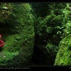 das kleine rote Männchen in der großen grünen Schlucht