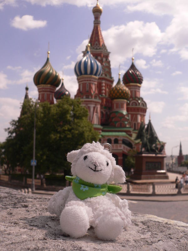 Das kleine Schaf auf dem Roten Platz