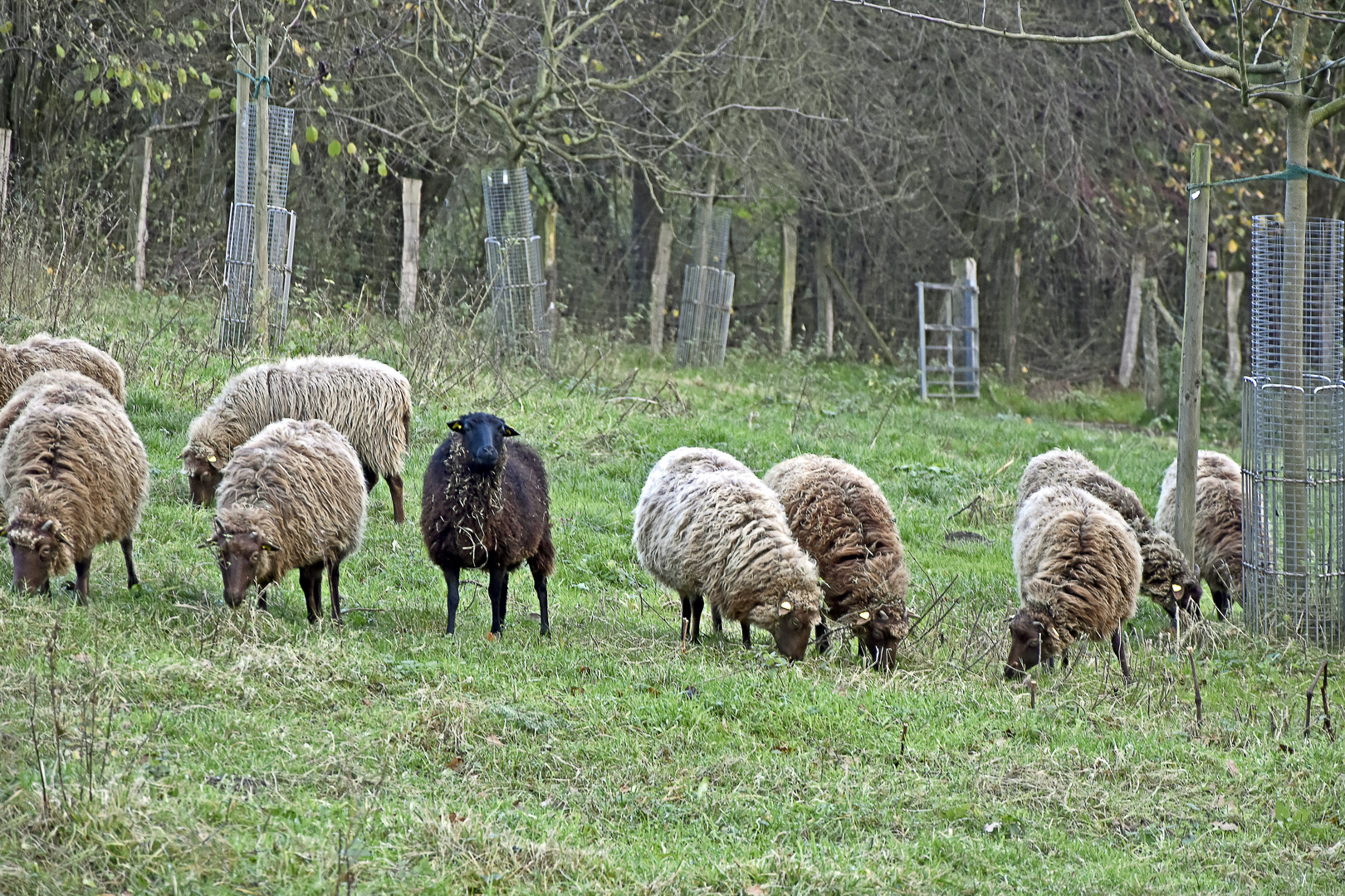 das kleine schwarze ;-))