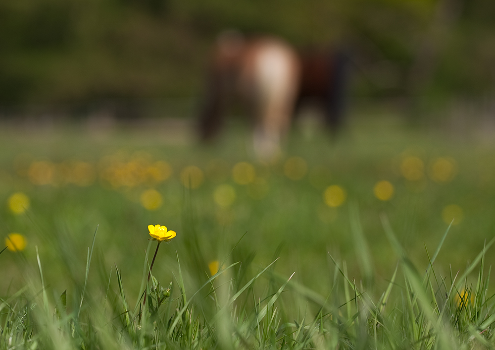 Das kleine und das große Glück!