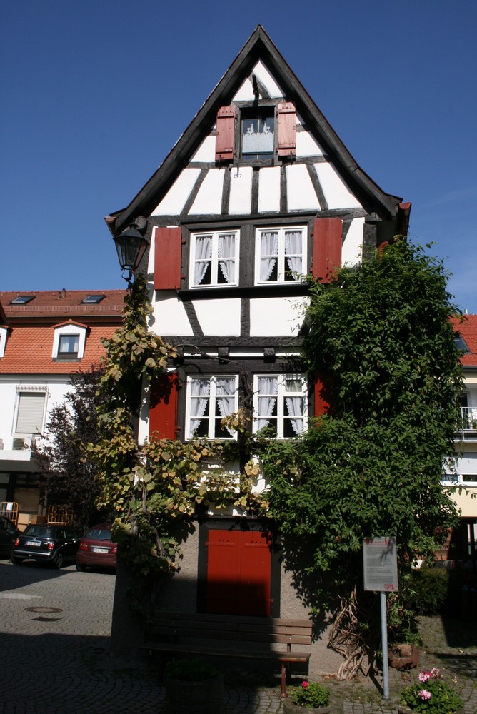 Das kleinste in Mosbach