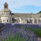 Das Kloster "Abbaye Notre-Dame de Sénanque" bei Gordes