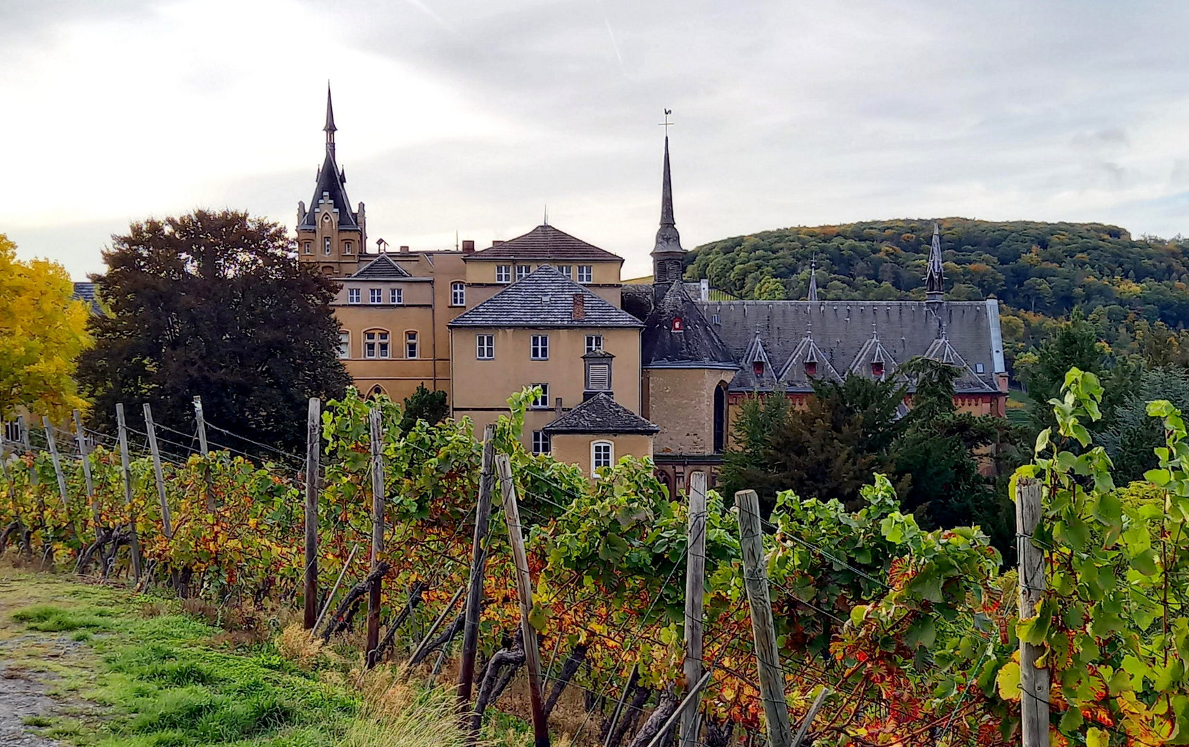 das Kloster Kalvarienberg