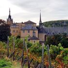 das Kloster Kalvarienberg