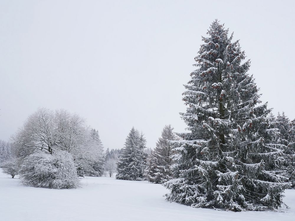 Das Knüllgebirge, ein Wintermärchen