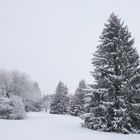 Das Knüllgebirge, ein Wintermärchen