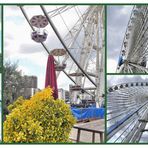 Das Kölner Riesenrad