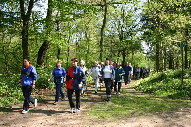 Das könnte mal Nordic Walking werden ;)