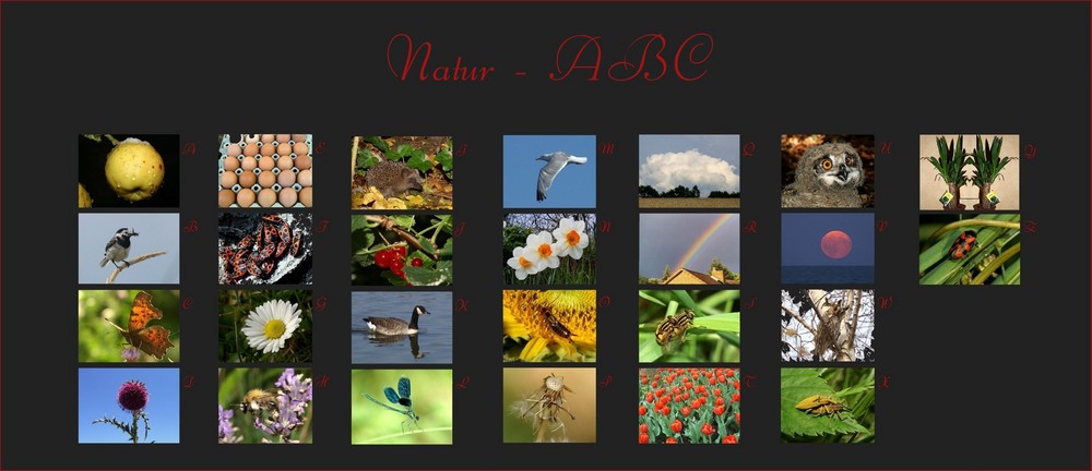 Das komplette ABC der Natur