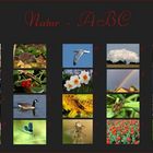 Das komplette ABC der Natur
