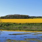 Das komplette Panorama mit Höhe 500 2 mal klicken es geht noch ein wenig bis 500