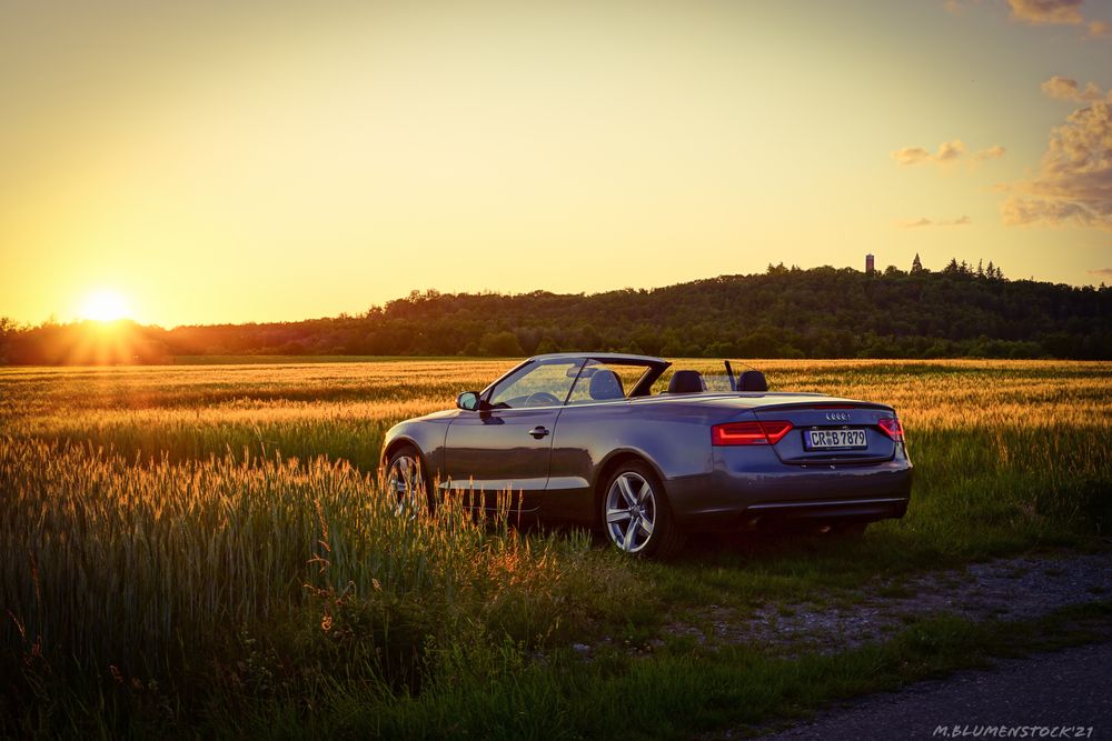 Das Korn war golden und die Sonne auch