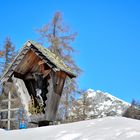 Das Kreuz am Waldesrand