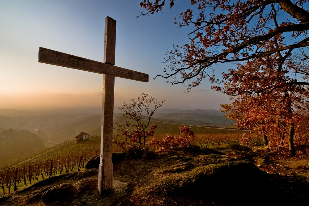 Das Kreuz am Waldrand