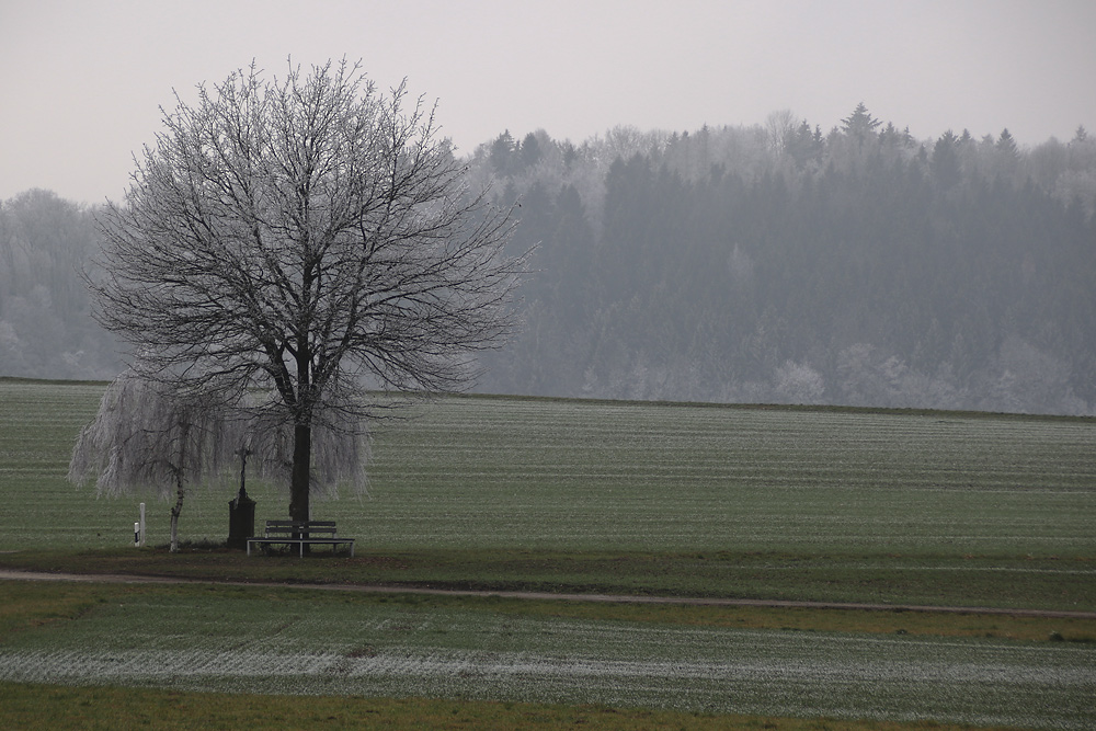 das Kreuz