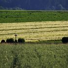 das Kreuz in der Landschaft