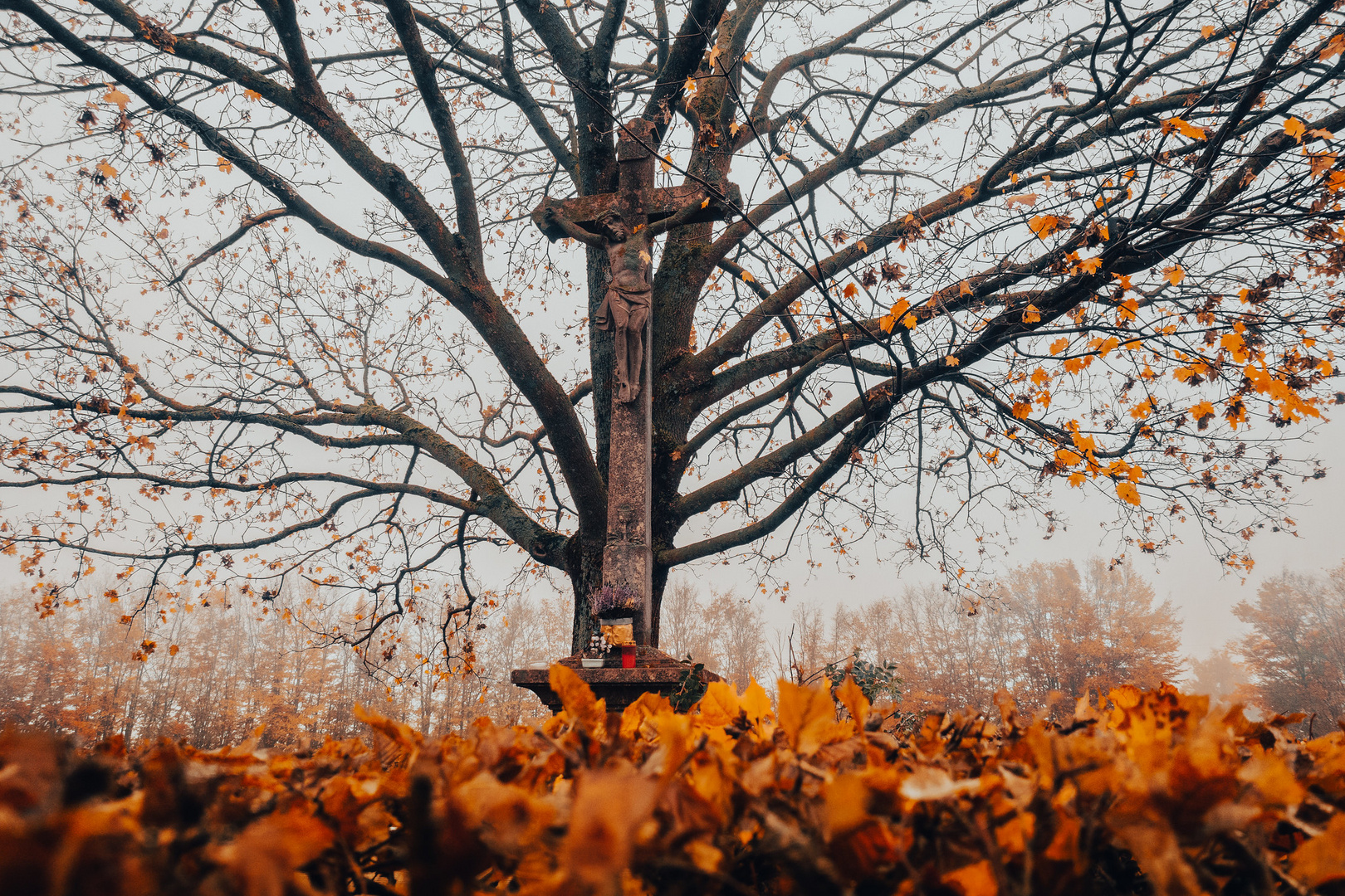 Das Kreuz und der Baum