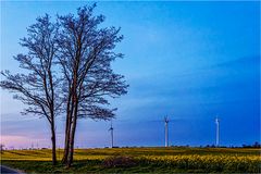 Das Kreuz unter denen die verunglückten Bergleute liegen sollen ...