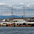 Das Kreuzfahrtschiff der "Nevercomebackline"