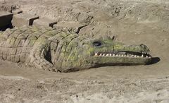 Das Krokodil, das aus dem Sand kroch