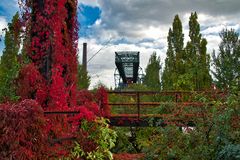 das Krokodil und der Herbst