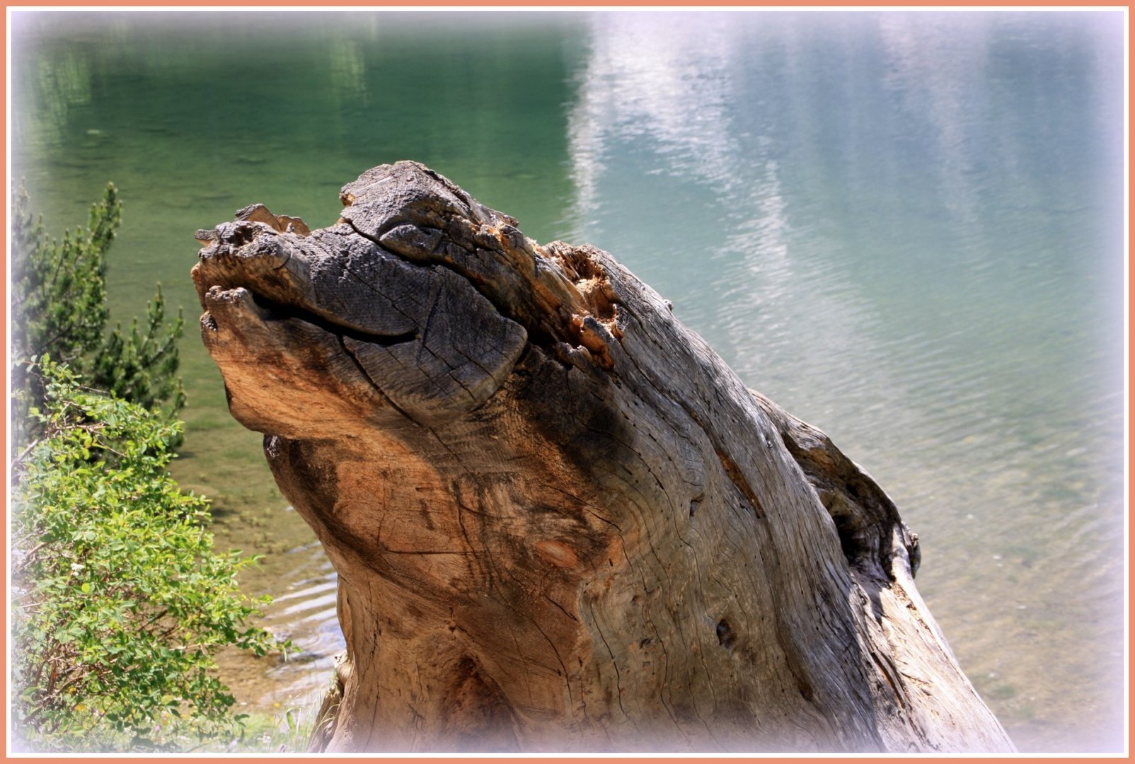 Das Krokodil vom Pragser Wildsee