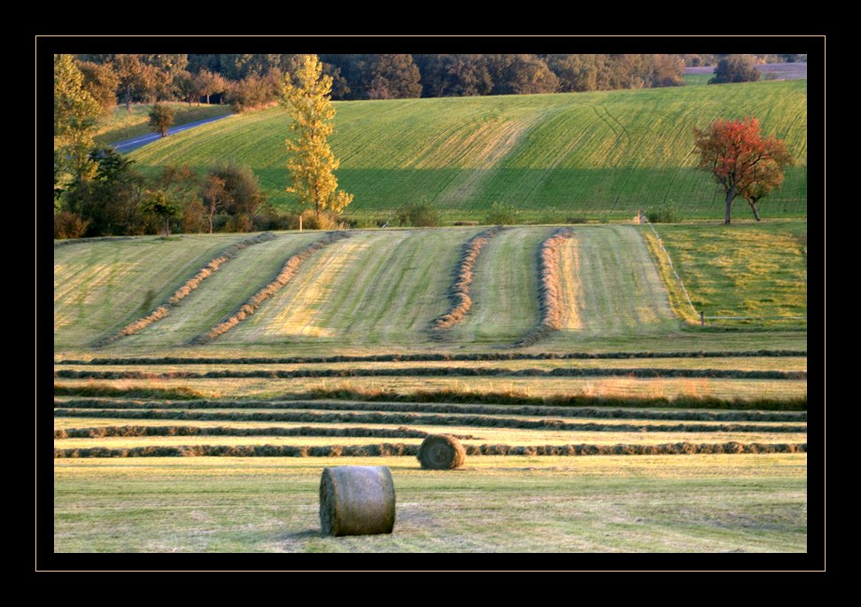 Das "Krumme Elsass" ...